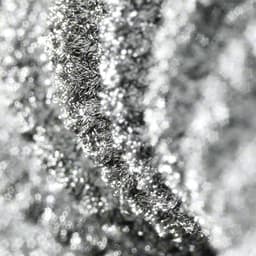 Silver Graft 2-Product Picture Enlargement CW